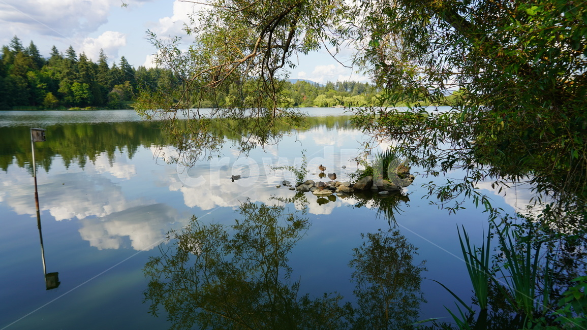 구름,호수,버드나무,호숫가,여름,물,자연,자연,풍경,nature,landscape,outdoors,옥외,land,땅,water