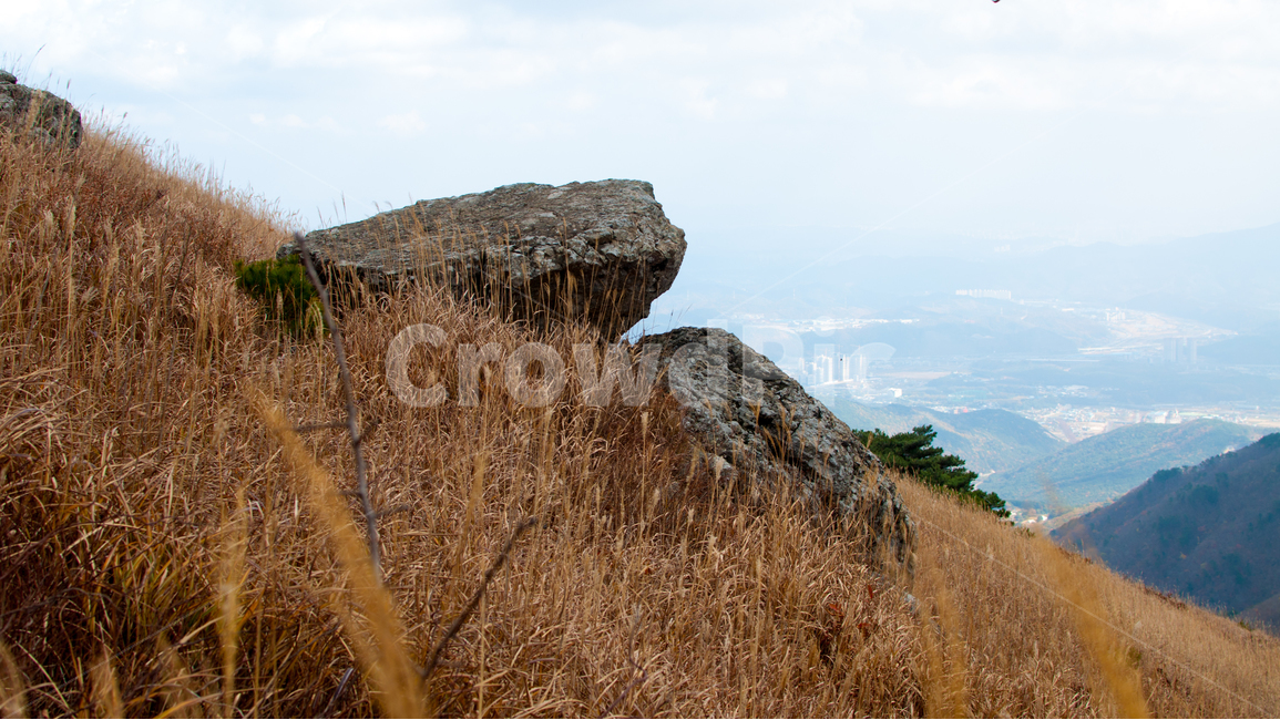 돌,자연,식물,가을,억새,갈대,plants,nature,울산,간월재,가을,계절,fall,autumn,season,자연,풍경,nature,landscape,outdoors,옥외