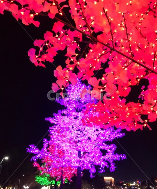 야경,야외조명,나무,tree,plant,식물,nightscape,night,christmas,light,lighting,illumination,조경,landscaping,starlight