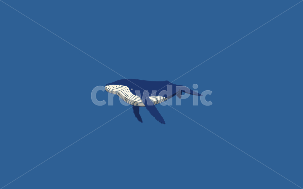 흰수염고래,고래,해양생물,동물,포유류,sealife,mammal,whale,animal,파란색,귀여운,일러스트,배경화면,그래픽,일러스트레이션,graphic,illustration
