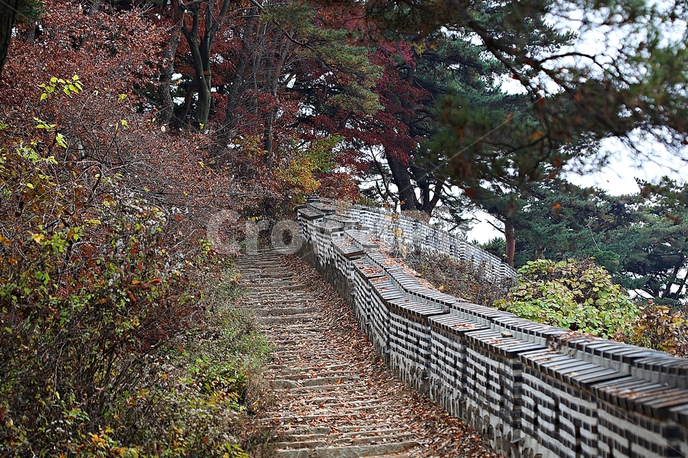 남한산성,성,성곽,단풍,낙엽,길,둘레길,숲,숲길,담,돌담,가을,자연,풍경,벽,울긋불긋,산성,식물,가을,계절,fall,autumn,season
