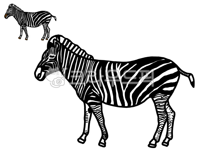 색칠공부,색칠하기,얼룩말,얼룩말일러스트,얼룩말색칠하기,얼룩말색칠공부,그림색칠,동물색칠공부,동물색칠하기,유아미술,유아그림공부,초등미술,zebra,animal,동물,mammal,포유류,wildlife,야생동물,그래픽,일러스트레이션,graphic,illustration