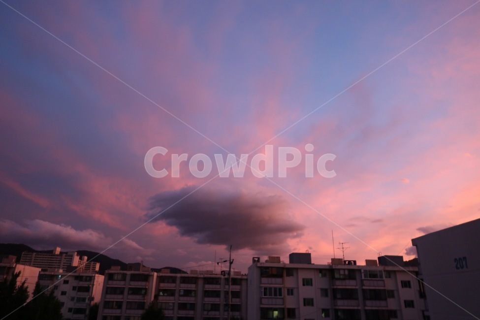 하늘,구름,핑크하늘,분홍하늘,노을