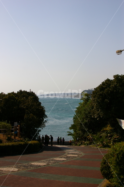 제주,제주도,제주풍경,풍경,겨울제주,겨울제주도,겨울,초겨울