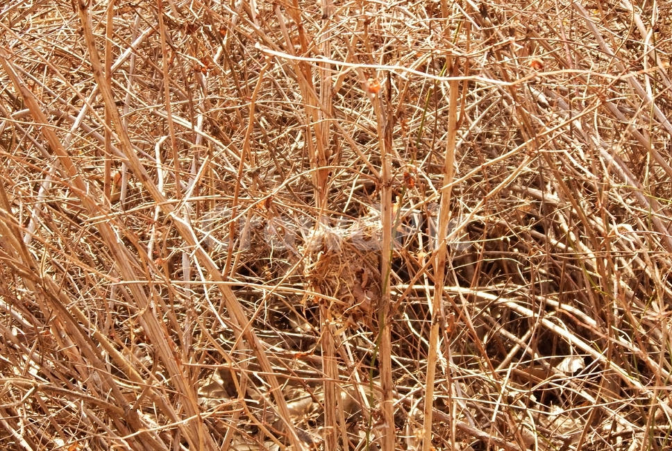 새집,산,산행,가을산속,산속,작은새집,자연,풍경,nature,landscape
