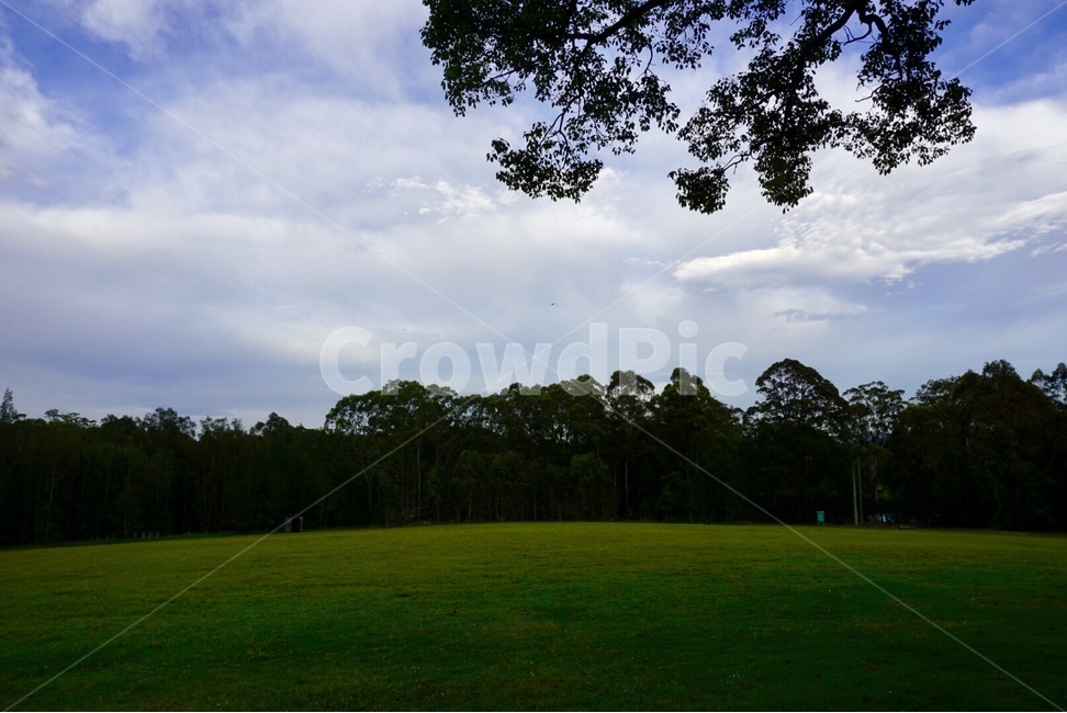 원본,자연,나무,들판,구름,original,nature,tree,field,cloud,자연,풍경,nature,landscape,plant,식물,grass,잔디,들