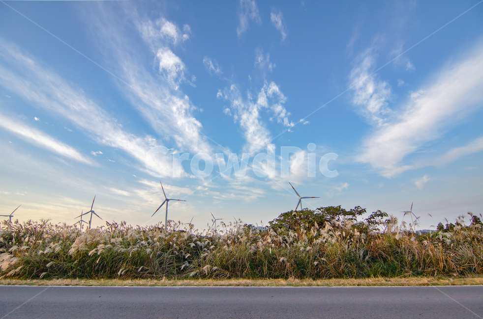 제주도,풍차,하늘,구름,가을,자연,풍경,nature,landscape