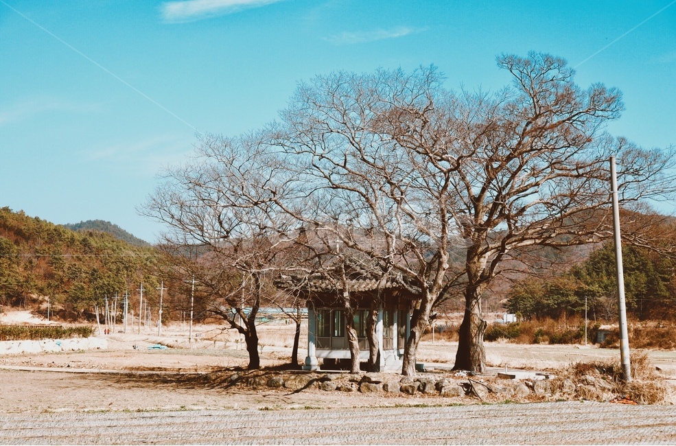 나무,겨울,마을,시골,감성,겨울,계절,winter,season,시골,마을,풍경,landscape,country,rural,town,감성,sensible,feeling