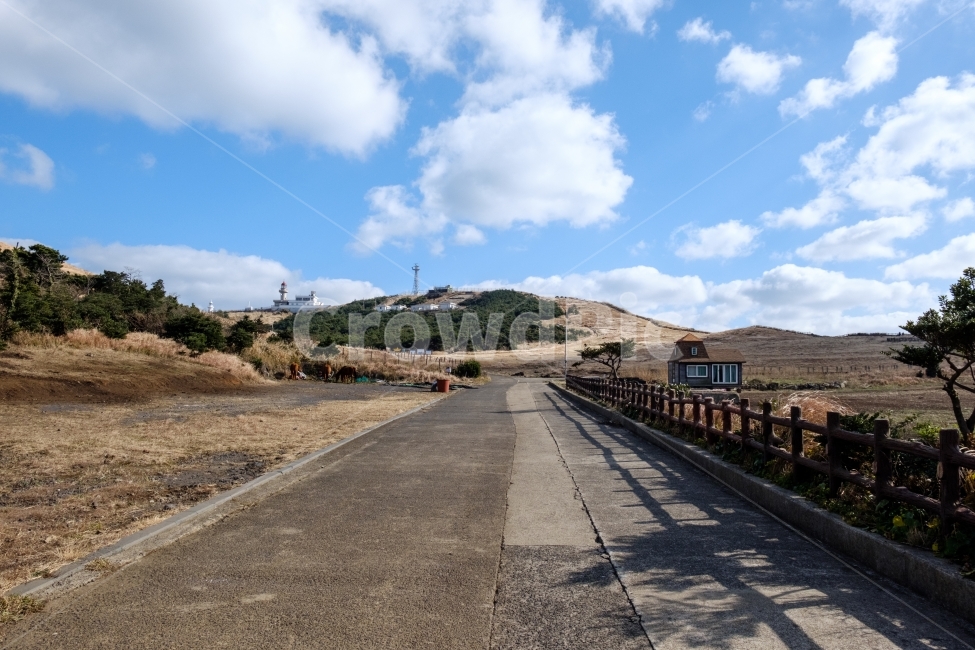 풍경,배경,감성,우도,제주도,하늘,거리,감성사진,풀밭,자연,풍경,nature,landscape,한국자연풍경,한국자연경관,korea nature landscape,제주도,jeju,jeju island,road,도로,asphalt,아스팔트,tarmac,타맥