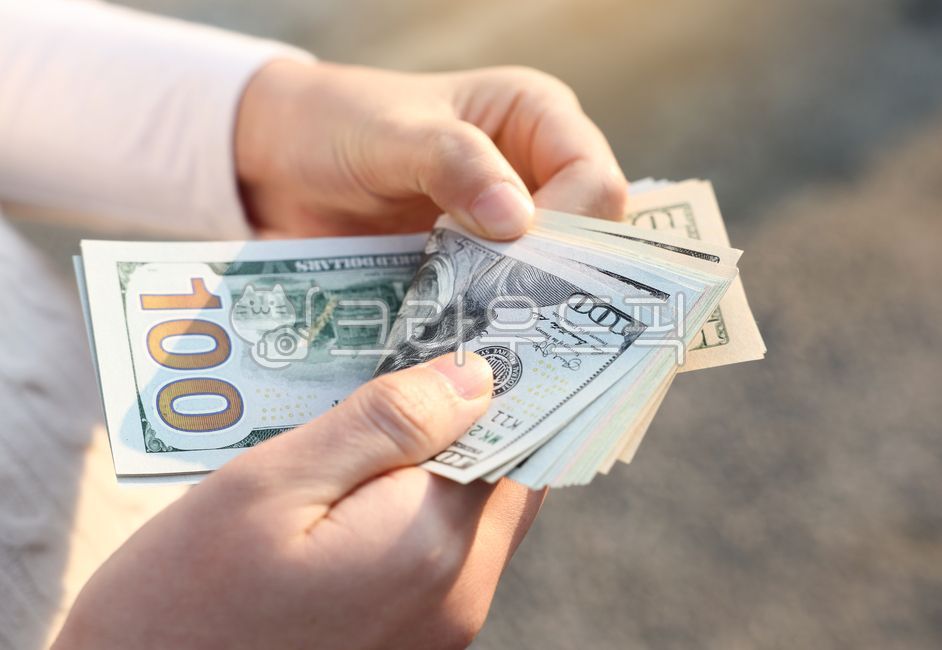 counting,Coefficient,foreign currency,US Dollar,count,100 dollars,dollar,holding,100,money,payment,calculate,cash,finance,hand