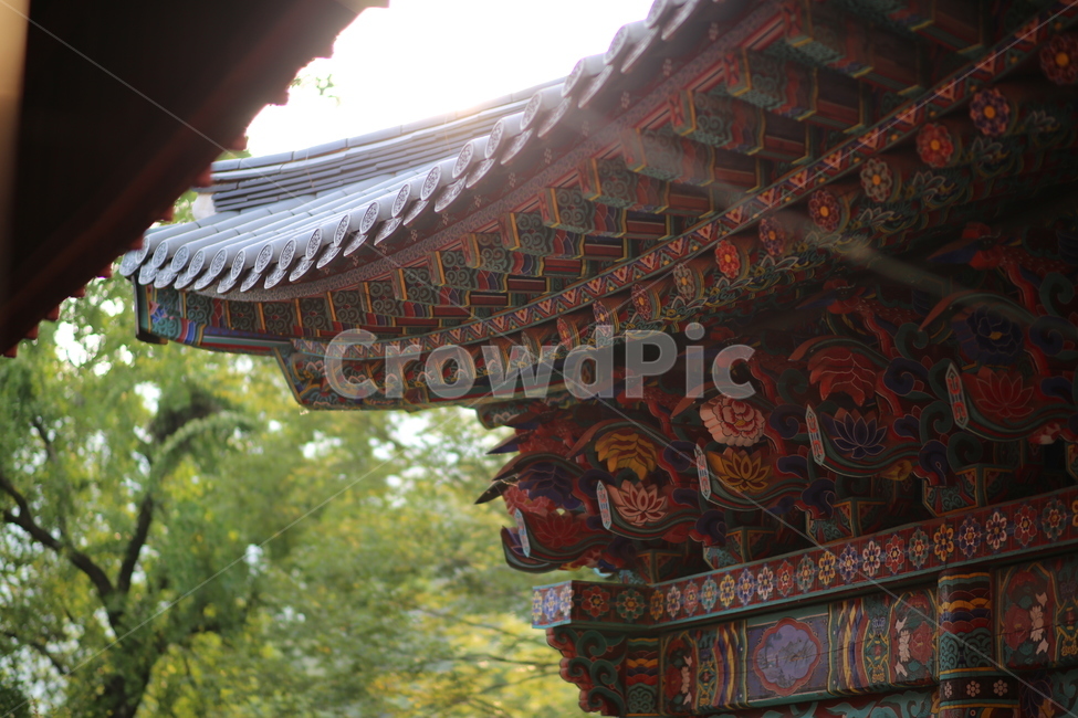 기와,한국,숲,풀,나무,색동,감성,절,한국전통,한국문화,korean traditional,korean culture,건축물,건물외관,exterior,building,structure,architecture,construction