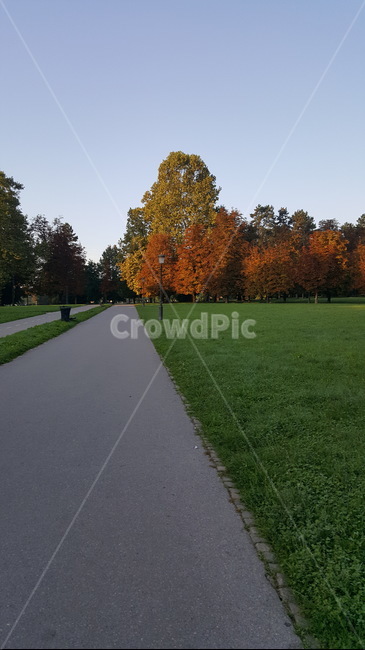 park,공원,plant,식물,grass,잔디,tree,나무,가을,autumn,fall,가을,계절,fall,autumn,season,자연,풍경,nature,landscape