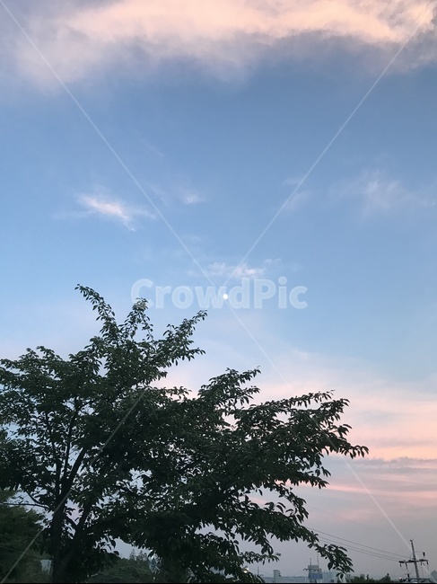 노을,하늘,sky,풍경,오후,자연,풍경,nature,landscape,outdoors,옥외,tree,나무,plant,식물