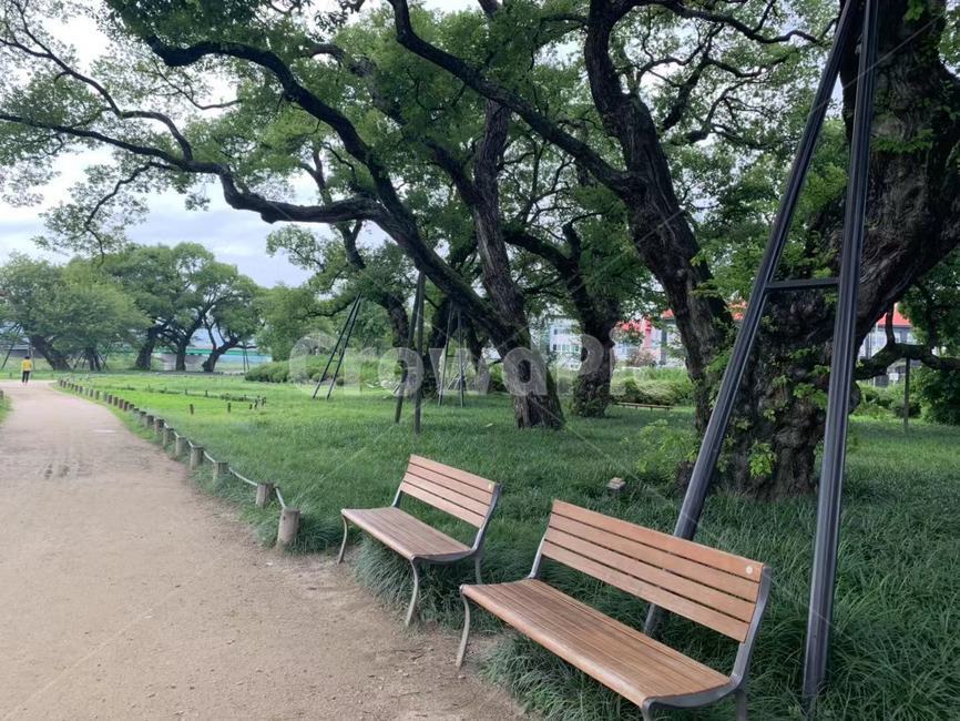 공원,봄,의자,여유,자연