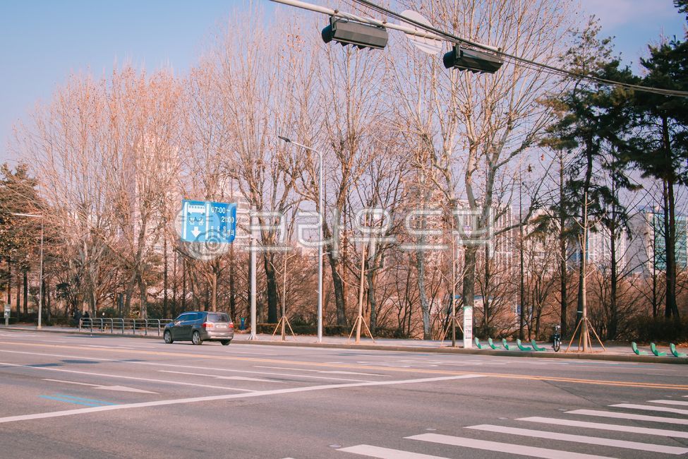차도,road,신호등,trafficlight,길거리,1월,january,인도,sidewalk,한국,korea,street,횡단보도,crosswalk,보행로,pedestrianpath,도로,roadphoto,도심,urbanscene