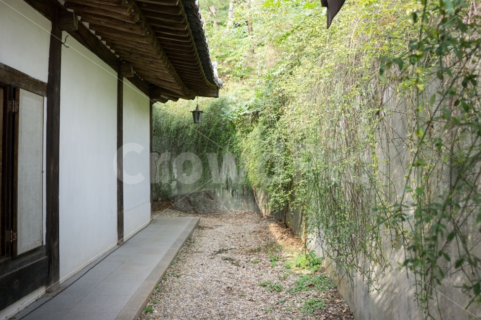 green,hanok,한옥,grass,korea,식물,건축물,건물외관,exterior,building,structure,architecture,construction,한국전통,한국문화,korean traditional,korean culture