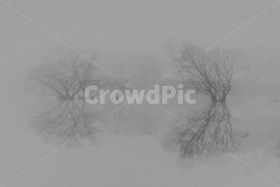 저수지,반영,안개,가을저수지,동판지,저수지풍경,자연,풍경,nature,landscape,drawing,그림,art,미술