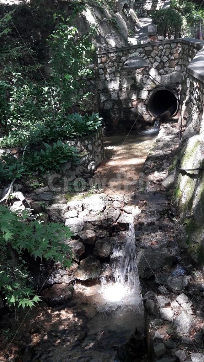 시원함,물,계곡,길상사,나무,자연,풍경,nature,landscape,여름,계절,summer,season