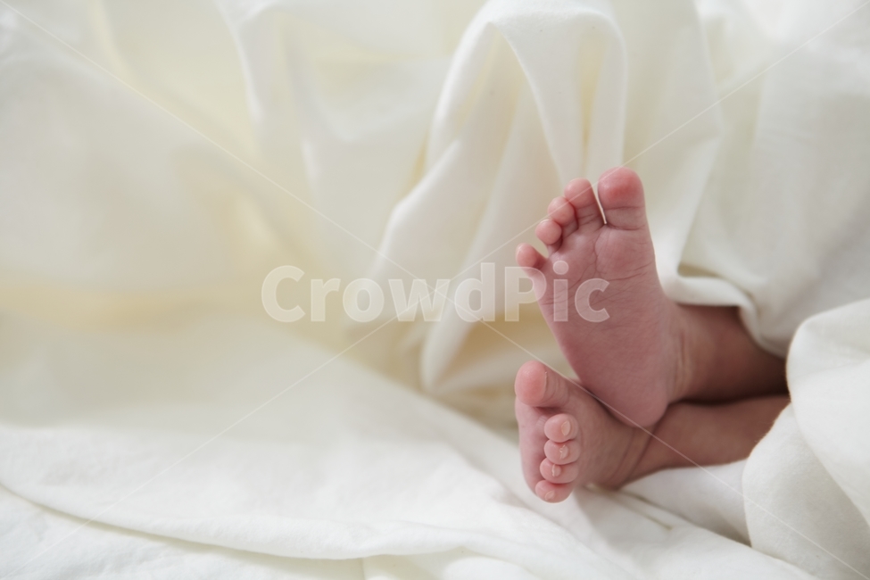 발,아기,신생아,아기발,발가락,영유아,아기,애기,아이,infants,baby