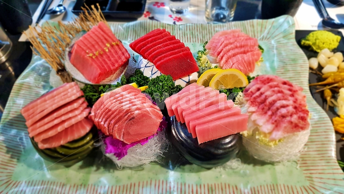 참치,생선,회식,음식,food