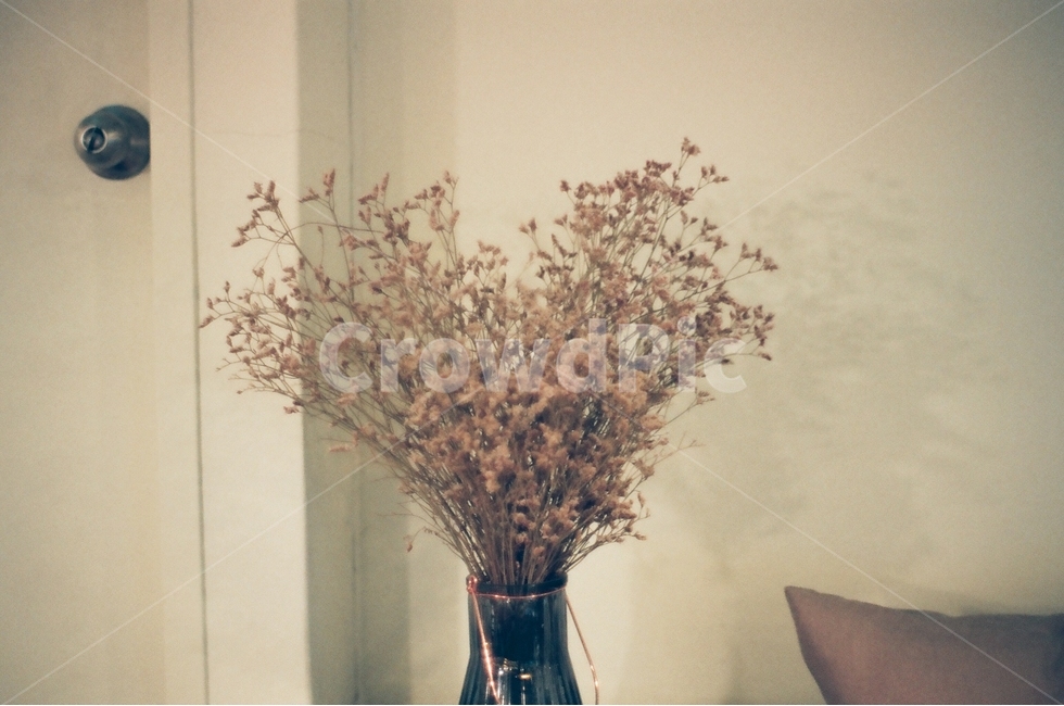 드라이플라워,카페,꽃,하트,커피숍,flower,실내용화초,화분,화초,house plant