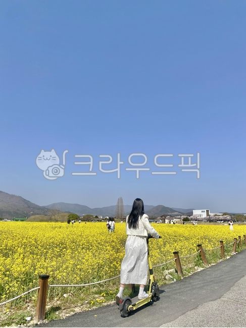 Rape flower,people,character,Thinshin,electric kickboard,kickboard,rape flower field,spring,woman,woman person,travel,rape flower festival