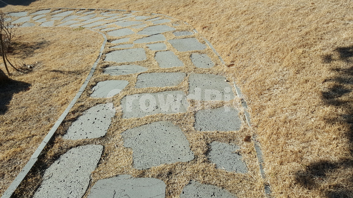 산책로,공원,길,돌길,자연,풍경