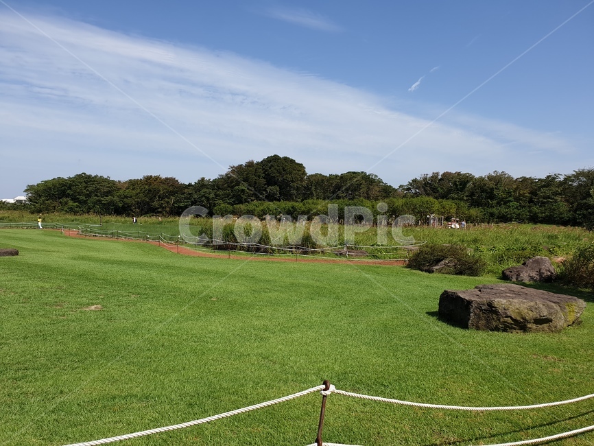 제주,에코랜드,들판,풍경,자연,공원,자연,풍경,nature,landscape,plant,식물,grass,잔디,lawn,field,들