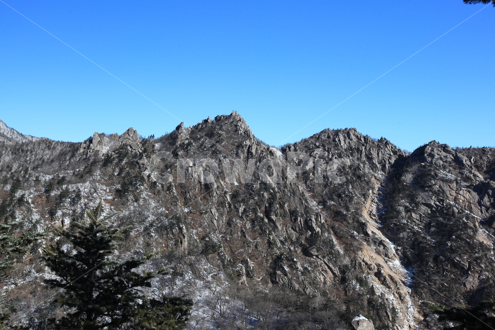 설악산,겨울산,파란하늘,겨울나무,능선,대청봉,겨울산행,등산,겨울,계절,winter,season,자연,풍경,nature,landscape,outdoors,옥외,mountain range,산맥,mountain,산,tree,나무,plant,식물,fir,전나무