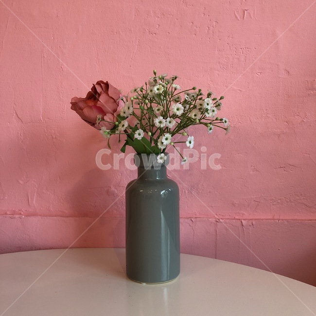 꽃,화병,장미,안개꽃,rose,flower,식물,실내용화초,화분,화초,house plant