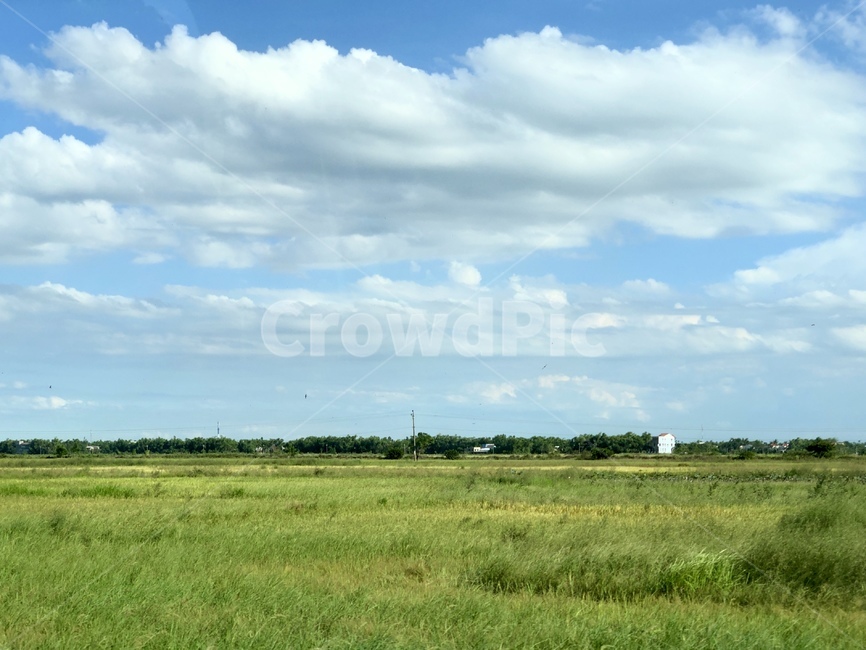 nature,자연,outdoors,옥외,field,grassland,들,목초지,구름,하늘