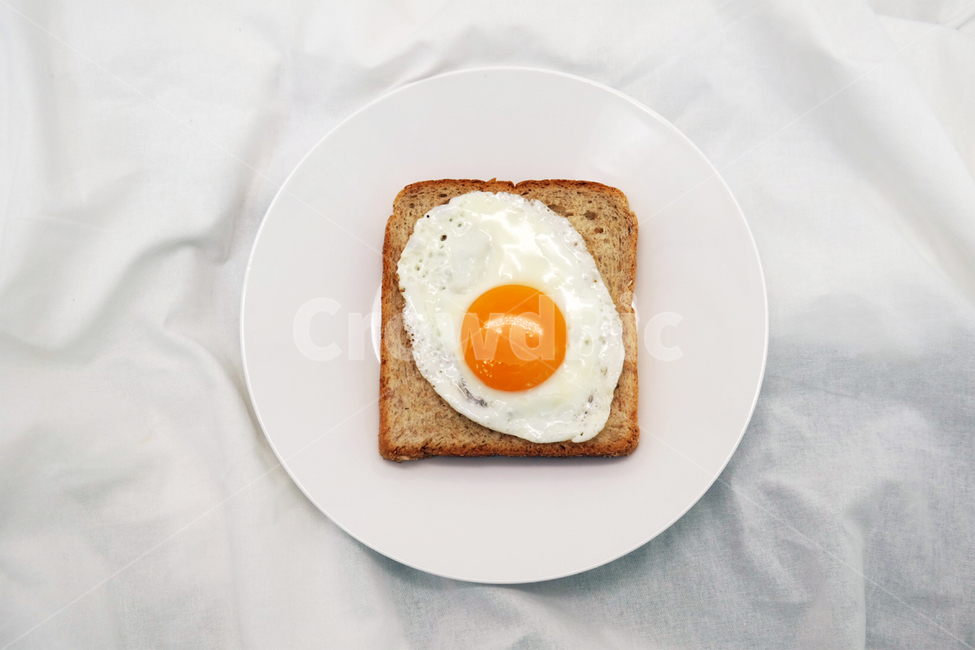 egg,계란,food,음식,bread,빵,frenchtoast,프렌치토스트,toast,토스트,음식,식재료,요리,food,cook,meal,dishes,food reserves,아침식사,조식,브런치,breakfast,brunch
