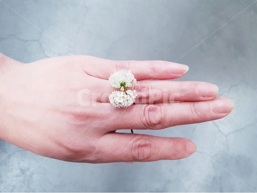 손,여자,신체,사람,꽃반지,약속,감성,손톱,여름,꽃,flower,사람,인물,인간,human,person,신체일부,몸,body