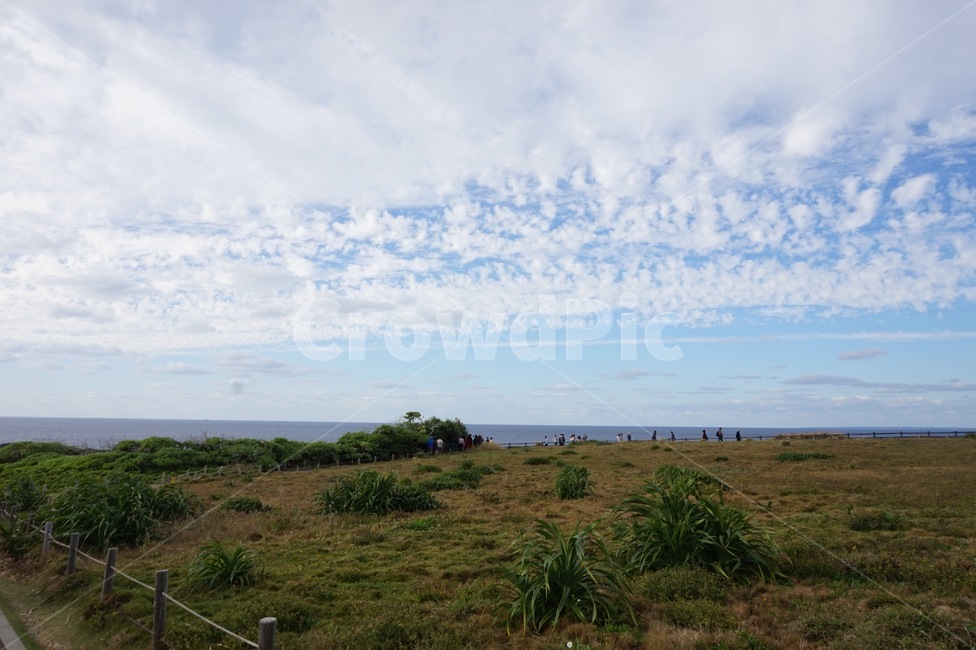 만자모,하늘,잔디,오키나와,바다,자연,풍경,nature,landscape,outdoors,옥외