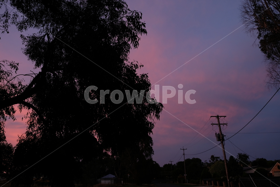 감성,보라빛,하늘,노을,색감,구름,sky,자연,보라색,핑크,핑크빛,pinksky,nature,나무,tree,전봇대,자연,풍경,nature,landscape
