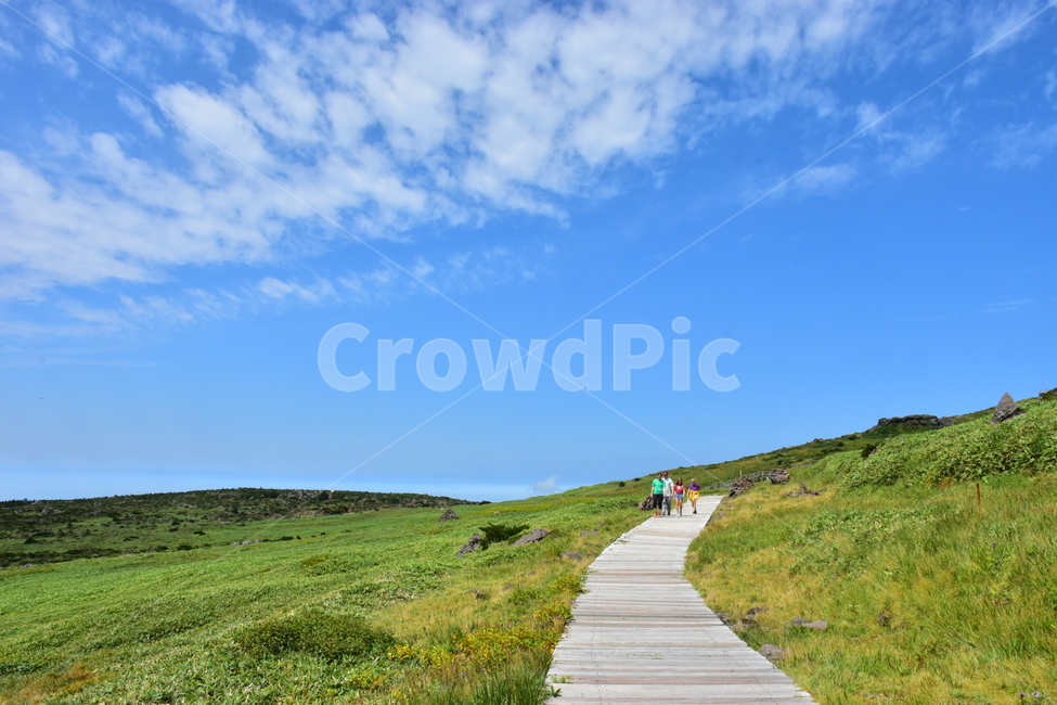 영실,한라산,제주,기암괴석,절경,자연,풍경,힐링,여름,계절,탐방,등산,season,nature,landscape,한국자연풍경,한국자연경관,korea,naturelandscape,제주도,jeju,jejuisland,자연,풍경,nature,landscape,한국자연풍경,한국자연경관,korea nature landscape,제주도,jeju,jeju island,path,통로,building,건물,outdoors,옥외,bridge,다리,boardwalk,산책로