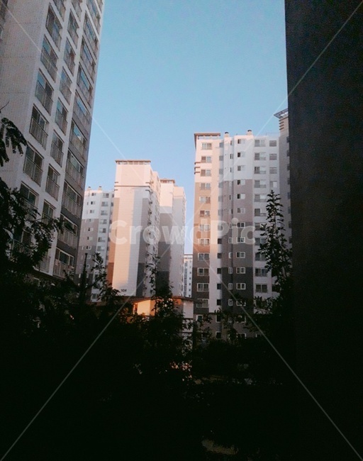 city,건물,building,town,시티,나무