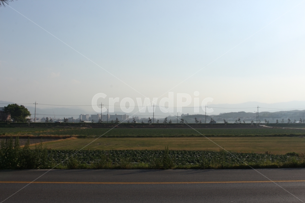 시골길,국도,논,밭,강릉,풍경,자연,시골,country,load,시골,마을,풍경,landscape,country,rural,town