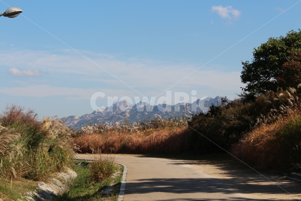 가을,하늘,하늘공원,억새,북한산,가을,계절,fall,autumn,season,자연,풍경,nature,landscape,한국자연풍경,한국자연경관,korea nature landscape,road,도로,outdoors,옥외