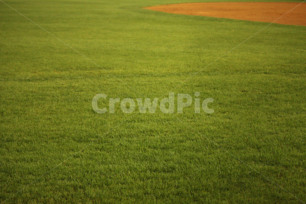 야구장,잔디,그라운드,외야,그린,자연,풍경,nature,landscape,grass,plant,식물