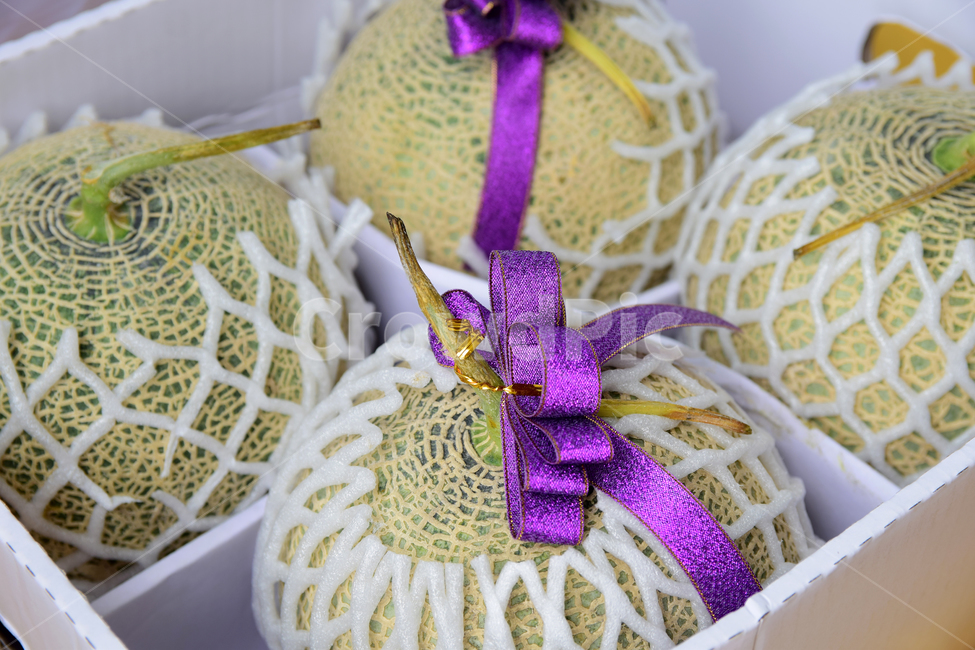 멜론,메론,과일,열매,열대과일,박스,포장재,완충재,리본,박과,melon,fruit,food,plant,ribbon,box,음식,식재료,요리,food,cook,meal,dishes,food reserves,과일,열매,fruit