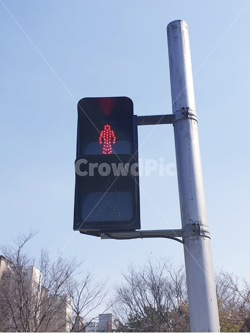 신호등,보행자,빨간불,기다림,멈춤,trafficlight