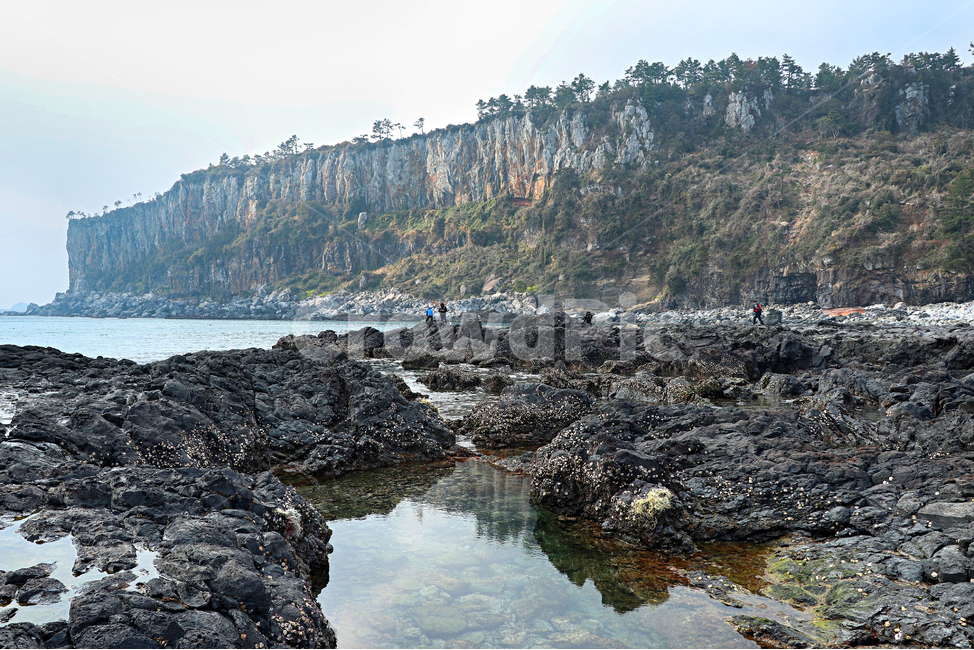 제주도,서귀포,박수기정,해안가,바다,풍경,옥외,자연,outdoors,nature,한국자연풍경,한국자연경관,korea nature landscape