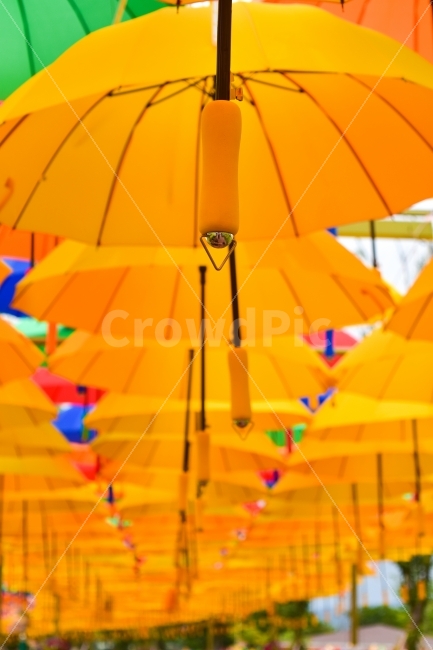 무안연꽃축제,우산,감성,노란꿈,창작물,예술,art,축제,행사,festival,carnival,event