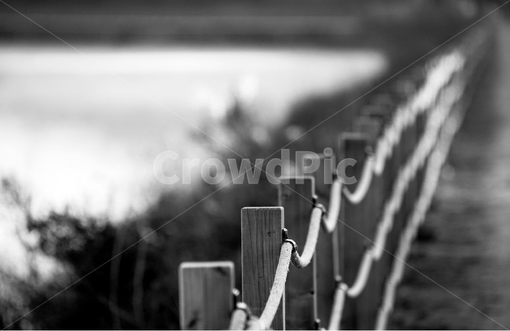 밧줄,줄,막대,말뚝,경계,호수,수변,흑백,모노톤,monochrome,black and white