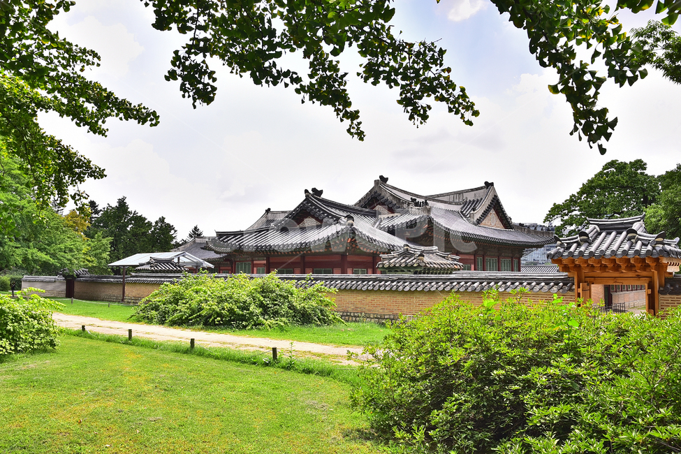 sights,ancientpalace,pattern,house,building,cloud,Gyeongbokgung,gyeongbokgungpalace,palace,sky,Palace,tree,korean,structure,seoul,Joseon Dynasty,traditional,Clear and clear,background,Its a good day,garden,Dancheong,old palace,Korean tradition