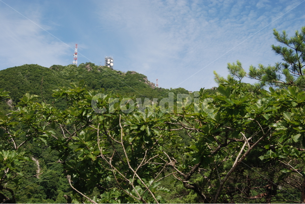hikingtrail,cloud,mountain,summer,산,자연,풍경,nature,landscape,vegetation,초목,plant,식물,bush,부시,outdoors,옥외,land,땅