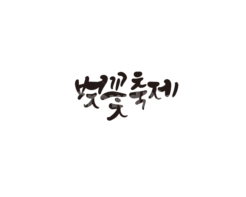 캘리,캘리그라피,벚꽃,꽃,축제,벚꽃축제,봄,봄꽃,손글씨,캘리그라피,손글씨,calligraphy