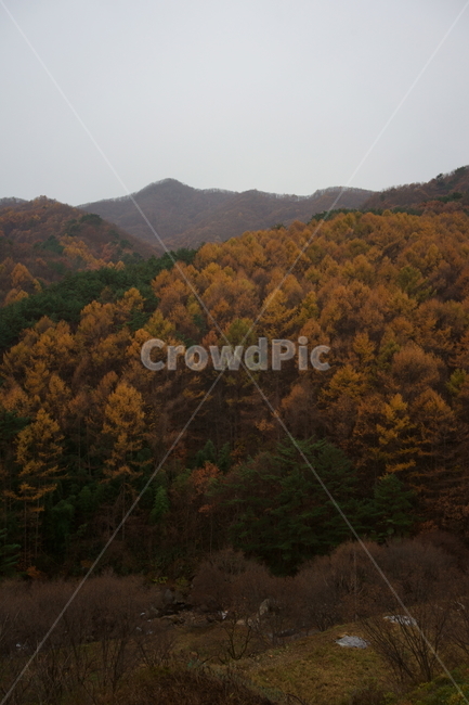 가을,산,가을풍경,자연,흐림,korealandscape,autumn,autumnleaves,fall,mountain,가을,계절,fall,autumn,season