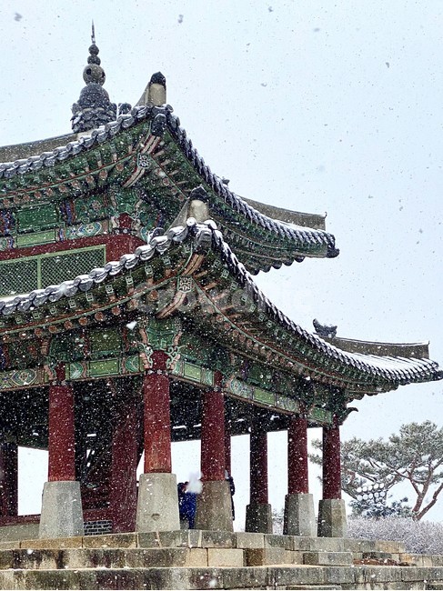 architecture,건축물,건물,눈,snow,수원,서장대,조선시대,정조,겨울,winter